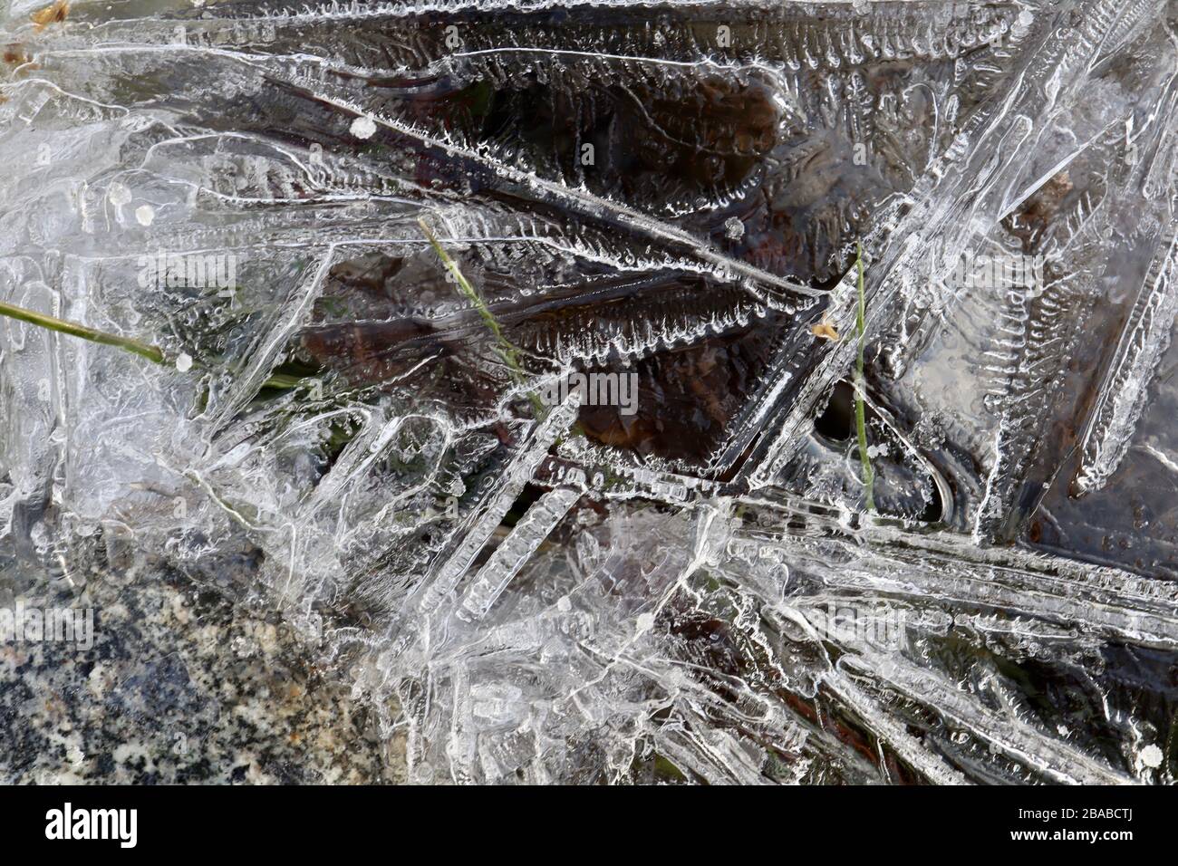 Makro chaotischer Eisstrukturen auf kleinem gefrorenem Strom am frühen Morgen. Halbtransparente Nadeln aus Eiskristallen, mit Felsen und grünem Gras. Die Stockfoto