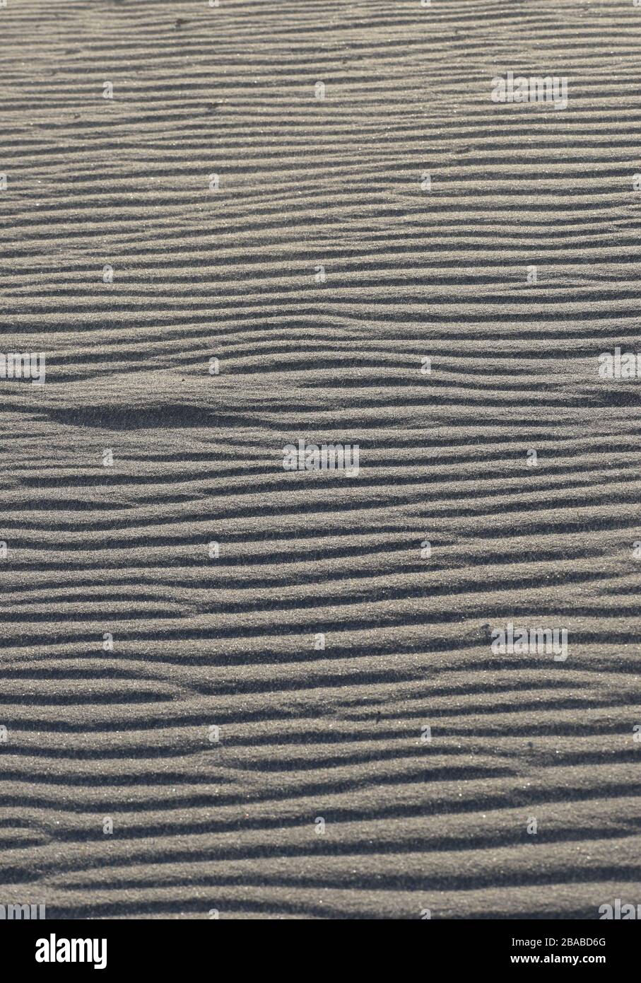 Die horizontale, wellige Struktur der Sanddünen am Strand. Stockfoto