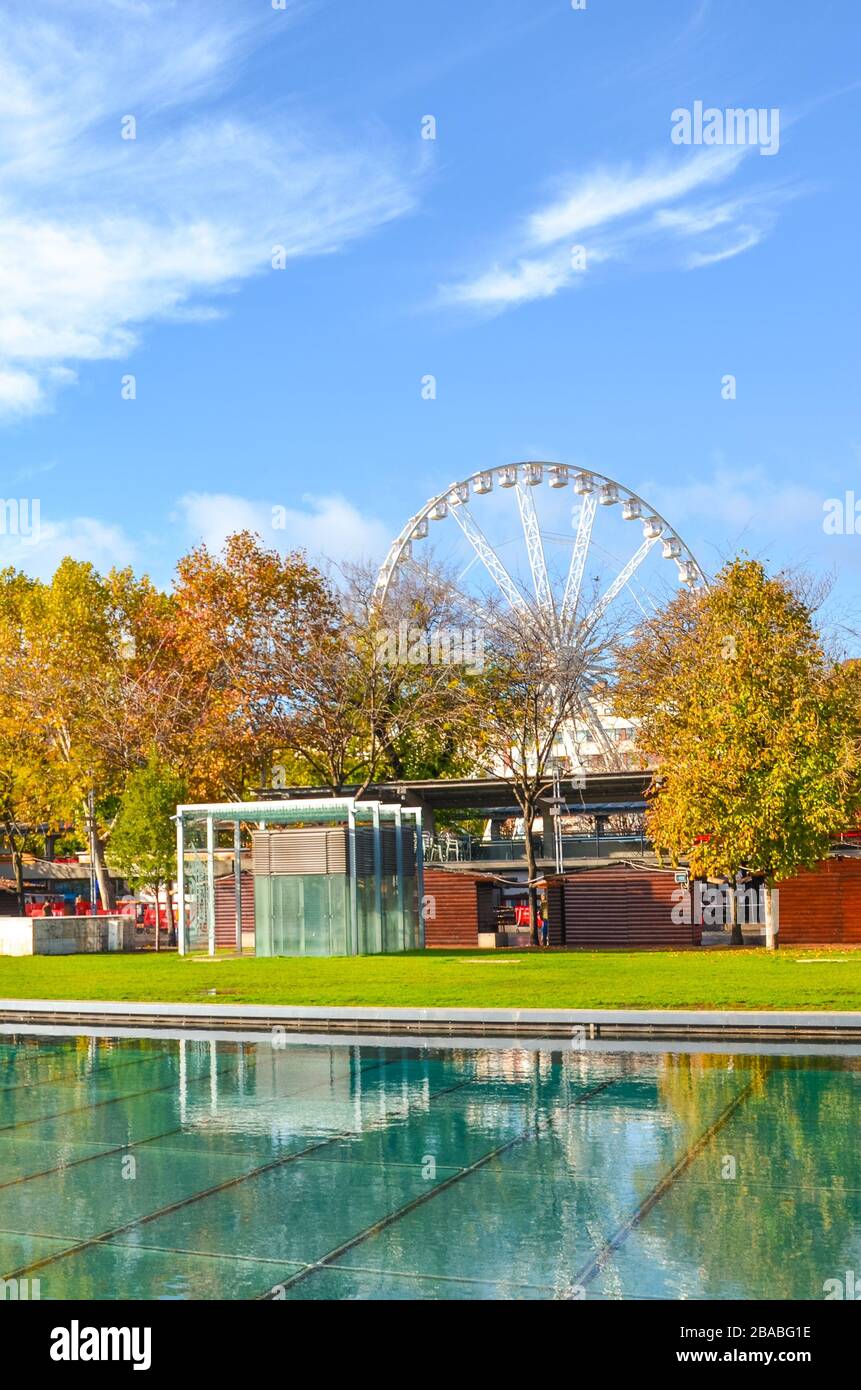Budapest, Ungarn - Nov 6, 2019: Ungarische Hauptstadt und Bäume im Herbst Farben. Wasser aus der benachbarten Brunnen im Vordergrund. Budapest Auge im Hintergrund. Größte Riesenrad Europas. Stockfoto