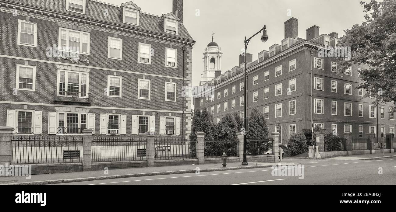 Gebäude am Harvard Square, Cambridge, Massachusetts, USA Stockfoto