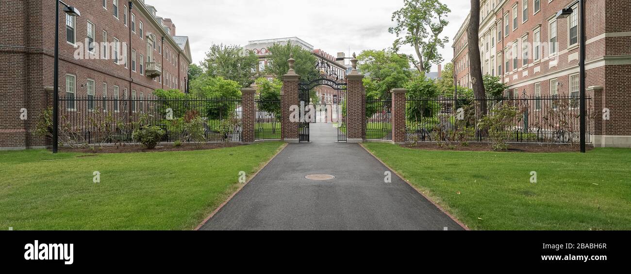 Gehweg zwischen Gebäuden, Cambridge, Massachusetts, USA Stockfoto