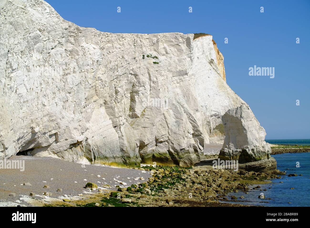 Chalk Cliffs in Seaford Head, East Sussex, Großbritannien. Stockfoto