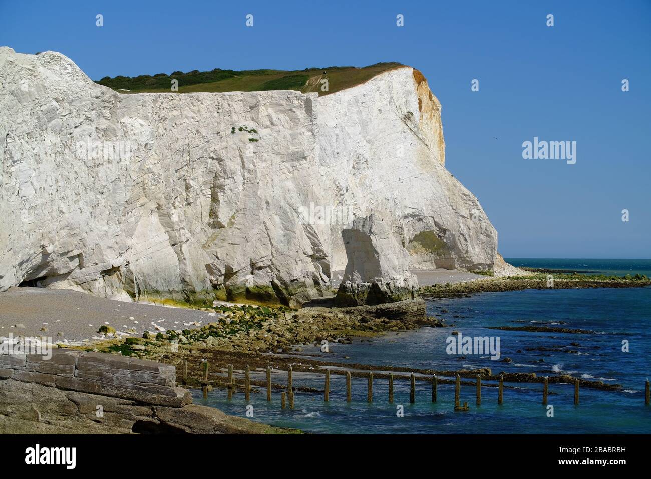 Chalk Cliffs in Seaford Head, East Sussex, Großbritannien. Stockfoto