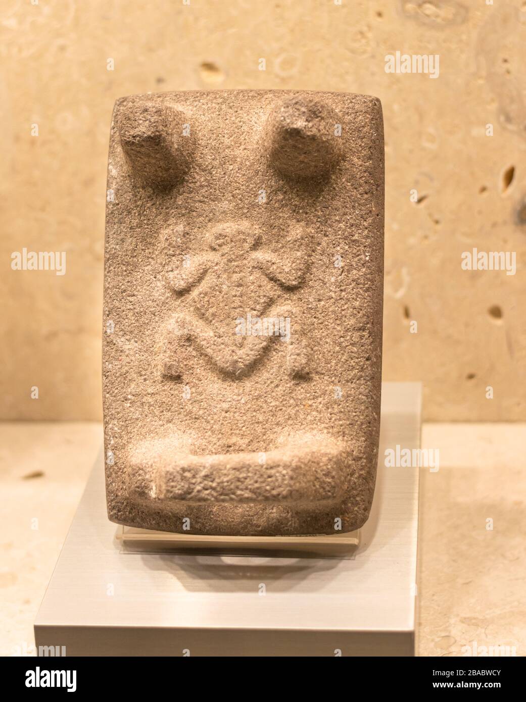 Maya Metate, Schleifstein mit Krötenschnitzerei im Boden. Maya-Museum, Merida, Yucatan, Mexiko. Stockfoto
