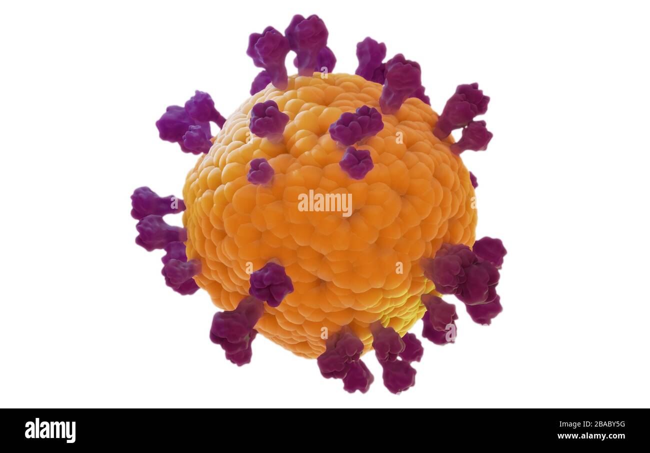 Coronavirus Kovid19 isoliertes Modell, 3D-Rendering auf weißem Hintergrund basierend auf den virenmikroskopischen Bildern Stockfoto
