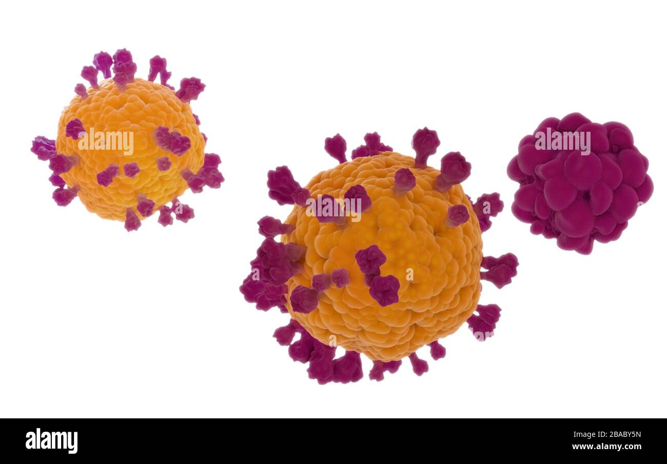 Coronavirus Kovid19 isoliertes Modell, 3D-Rendering auf weißem Hintergrund basierend auf den virenmikroskopischen Bildern Stockfoto
