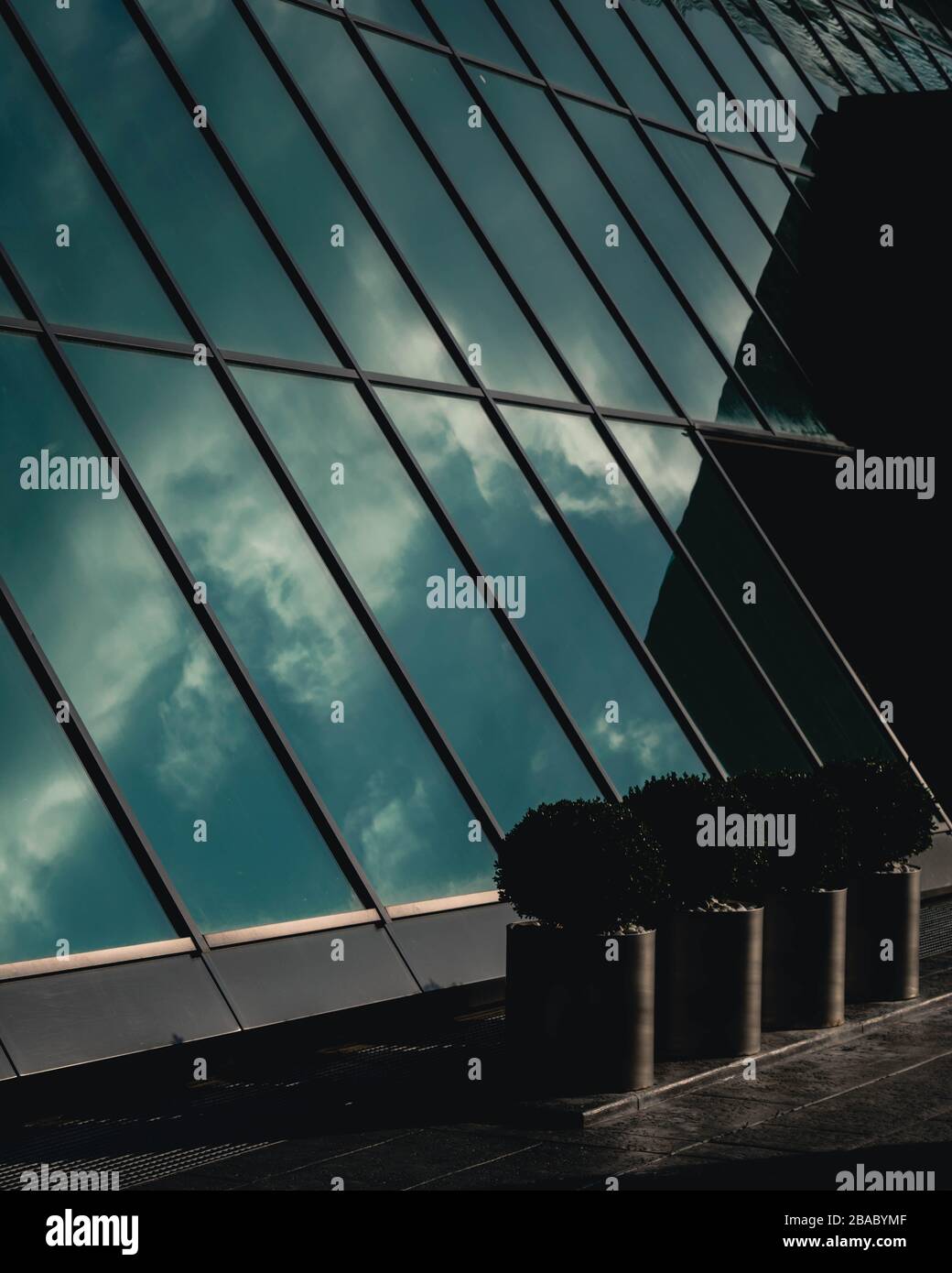 Reflexionen auf Glasscheiben in der Nähe von Topfpflanzen Stockfoto