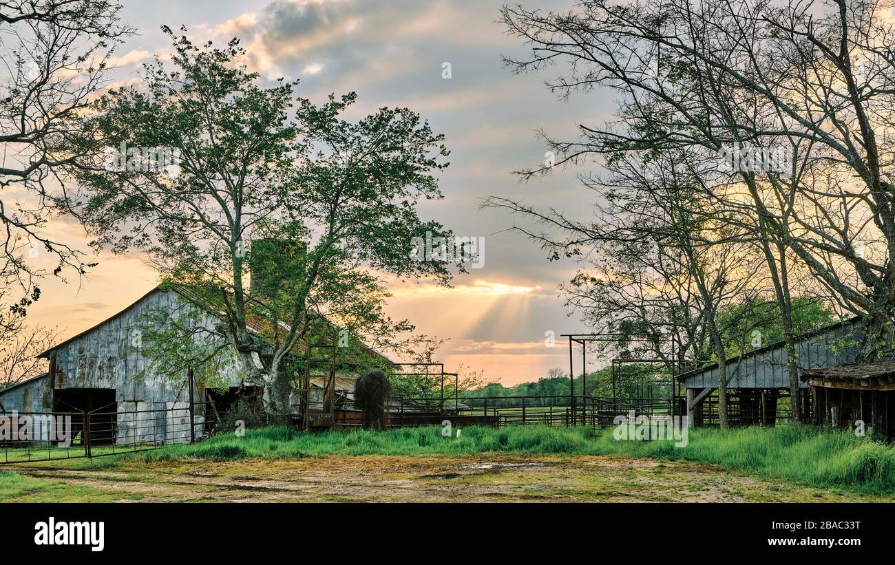Ländliche amerikanische Küche, Alabama, Bauernscheune bei Sonnenuntergang mit Sonnenstrahlen, die durch Wolken im ländlichen Alabama, USA, kommen. Stockfoto