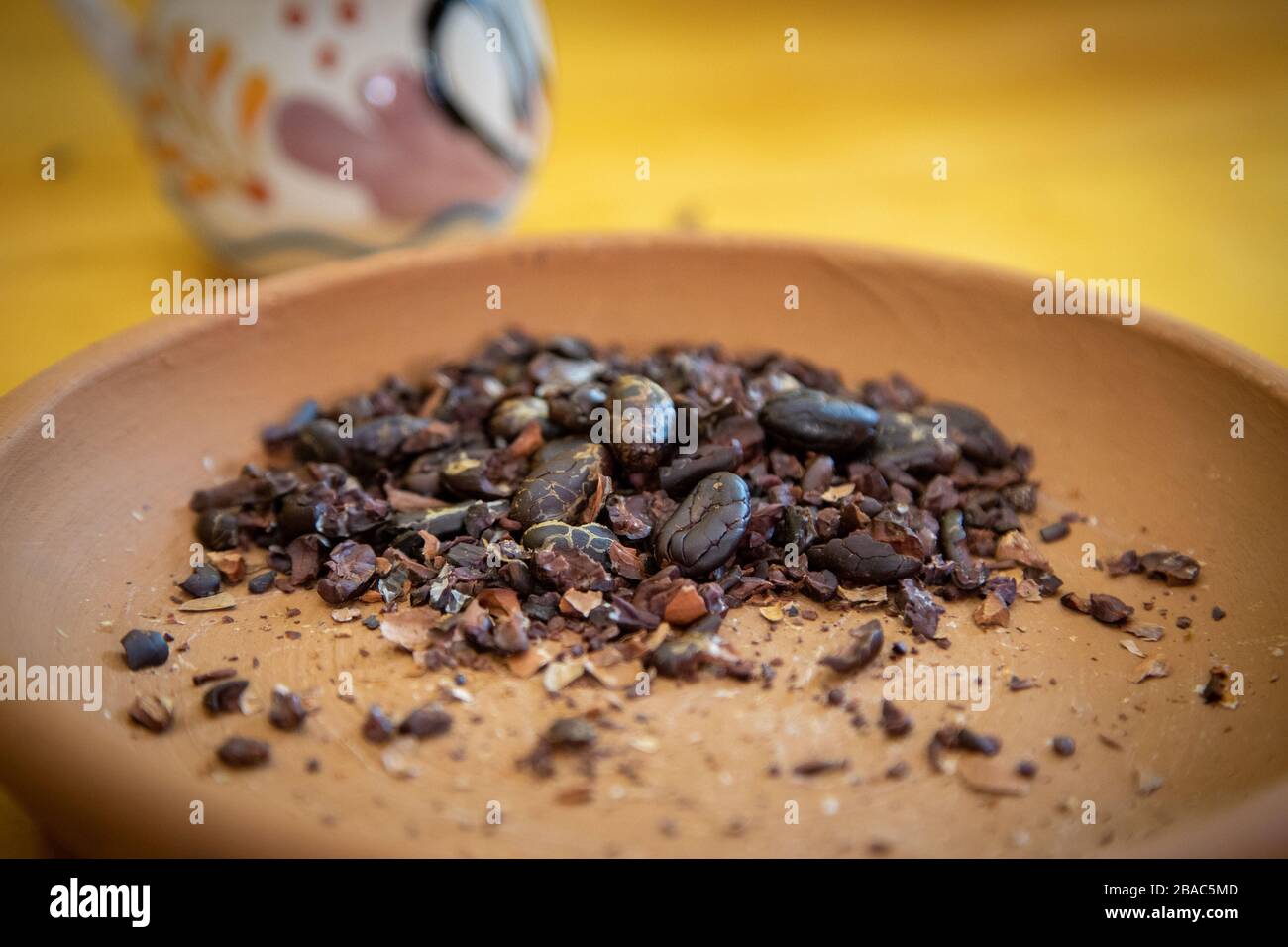 Geschälte mexikanische Kakaobohnen oder Kakao, die bereit sind, zu Pulver gemahlen zu werden, um Schokolade zu machen. Stockfoto