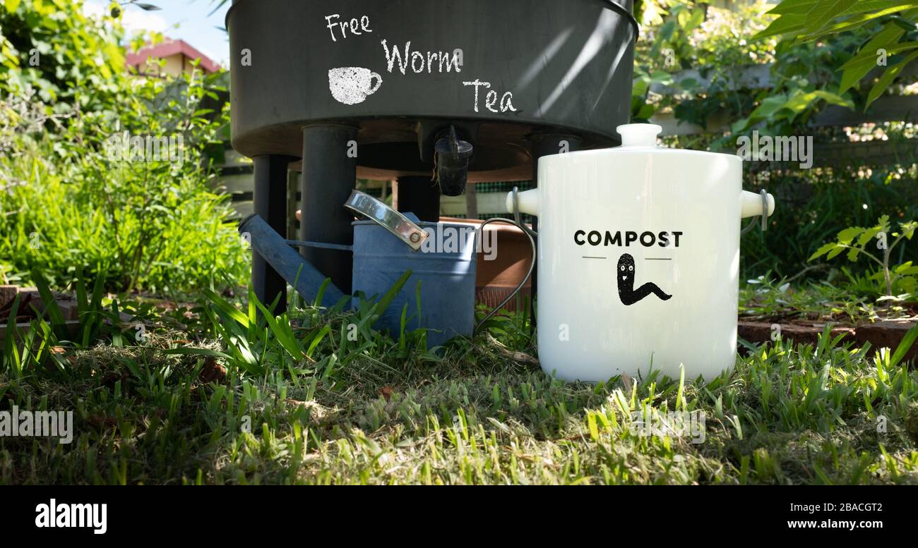Wurm Farm und Küche Komposttopf in organischem australischen Garten mit kostenlosem Wurm Tee, nachhaltigem Wohnen und Zero Waste Lifestyle Stockfoto