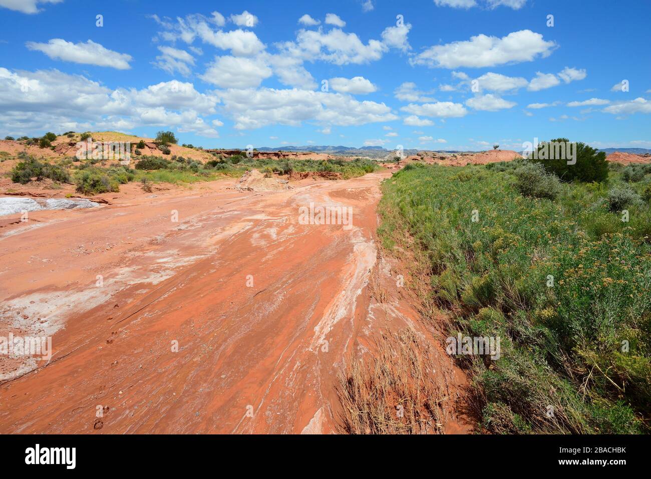 Roter Sand im trockenen Fluss, Ischigualasto Naturreservat, Provinz San Juan, Argentinien Stockfoto