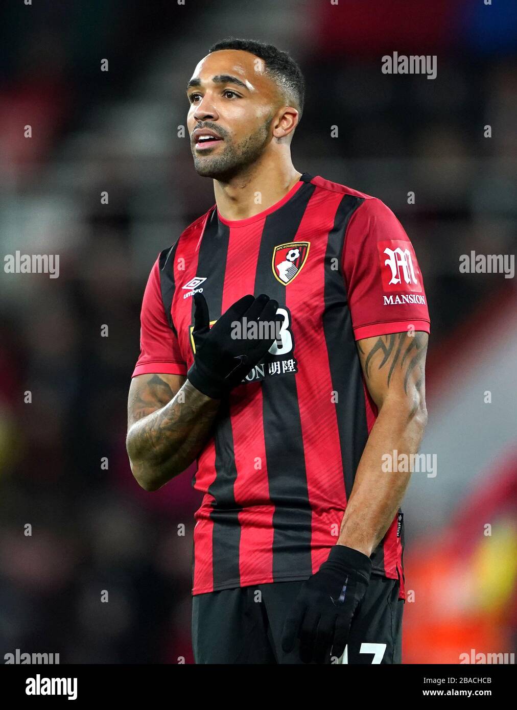 Bournemouth Callum Wilson Stockfoto