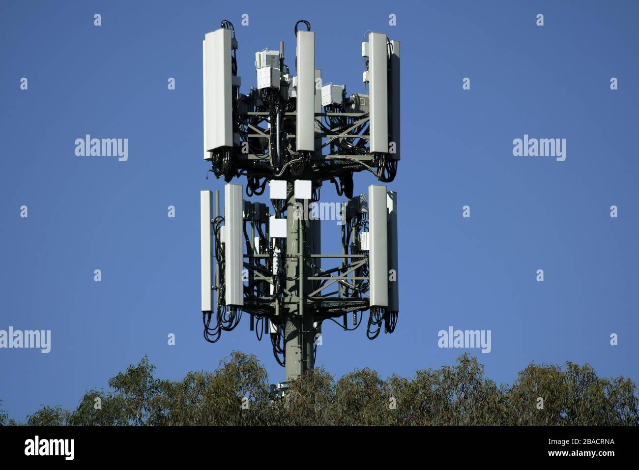 Fernmeldeturm, 5g Netz in der Landstadt. Stockfoto