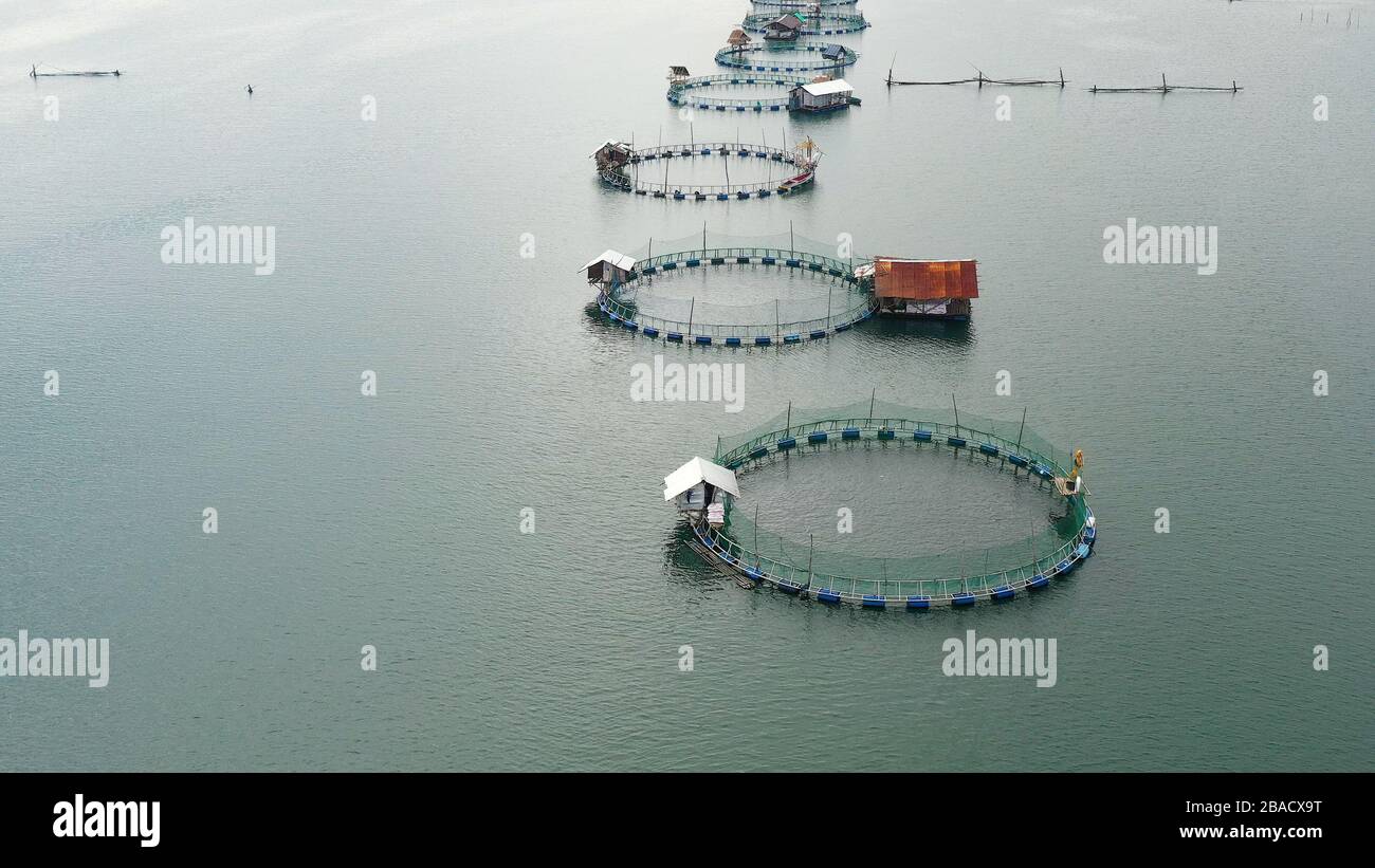 Fischzucht mit Käfigen für Fische und Garnelen in den Philippinen, Luzon. Luftaufnahme von Fischteichen für bangus, milchfisch. Fisch Käfig für Tilapia, milchfisch Landwirtschaft Aquakultur oder Fischzucht Praktiken. Stockfoto