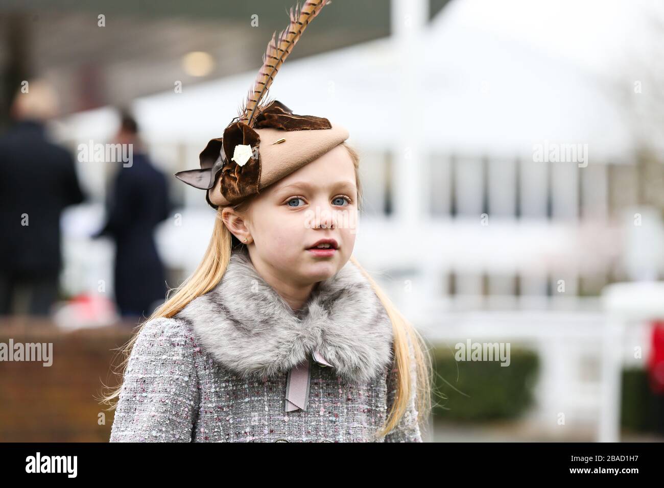 Allgemeine Bilder der Mini-Me-Dreharbeiten während des Festival Trials Day auf der Cheltenham Racecourse. Stockfoto