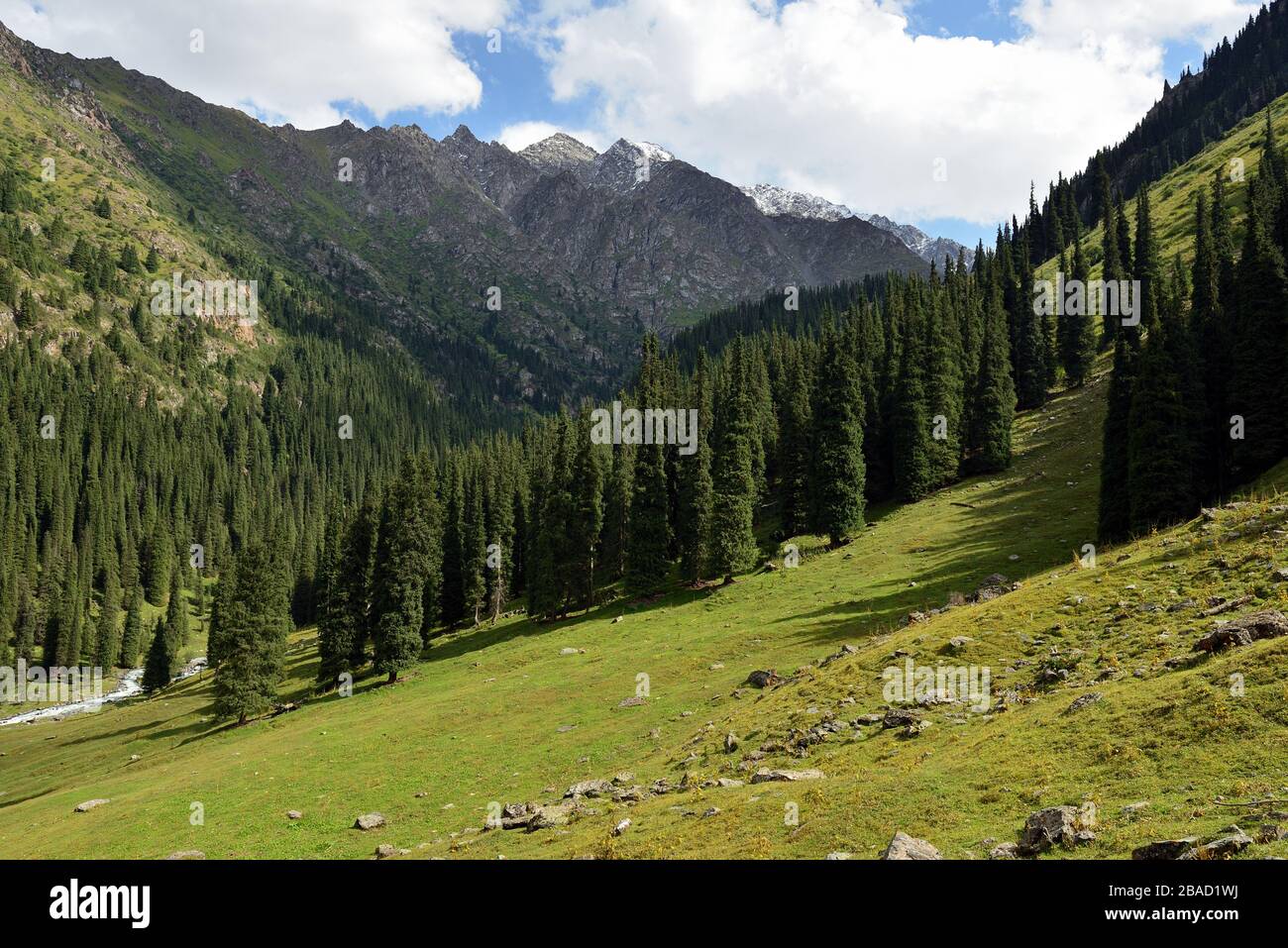 Landschaft der Ala Kul Lake Trail am Terskey Alatau Gebirge in den Tian Shan Bergen. Kirgisistan, Zentralasien. Stockfoto