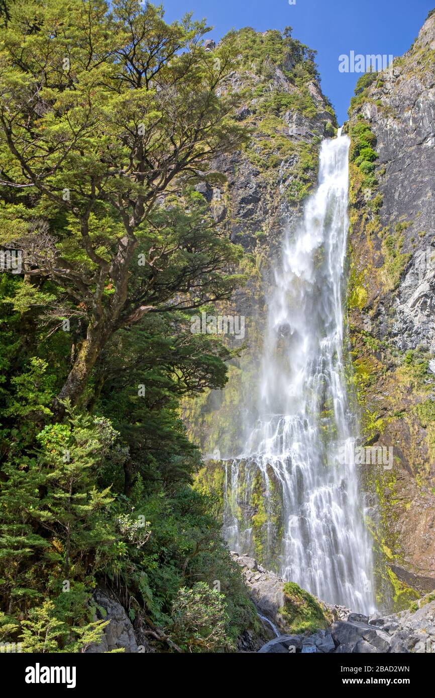 Devils Punchbowl Falls am Arthurs Pass Stockfoto