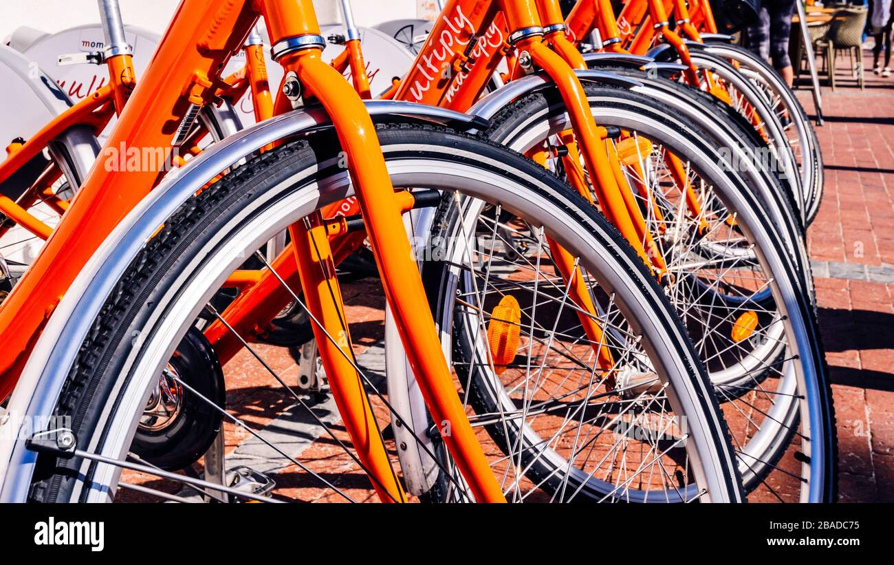 Nahaufnahme einer Reihe von orangefarbenen Fahrrädern, die auf dem Straßenbelag gemietet werden können, Camps Bay, kapstadt Südafrika. Stockfoto