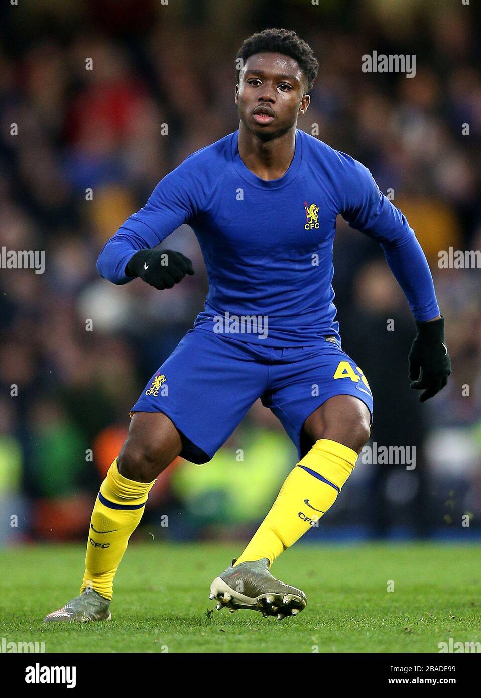 Chelseas Tariq Lamptey Stockfoto
