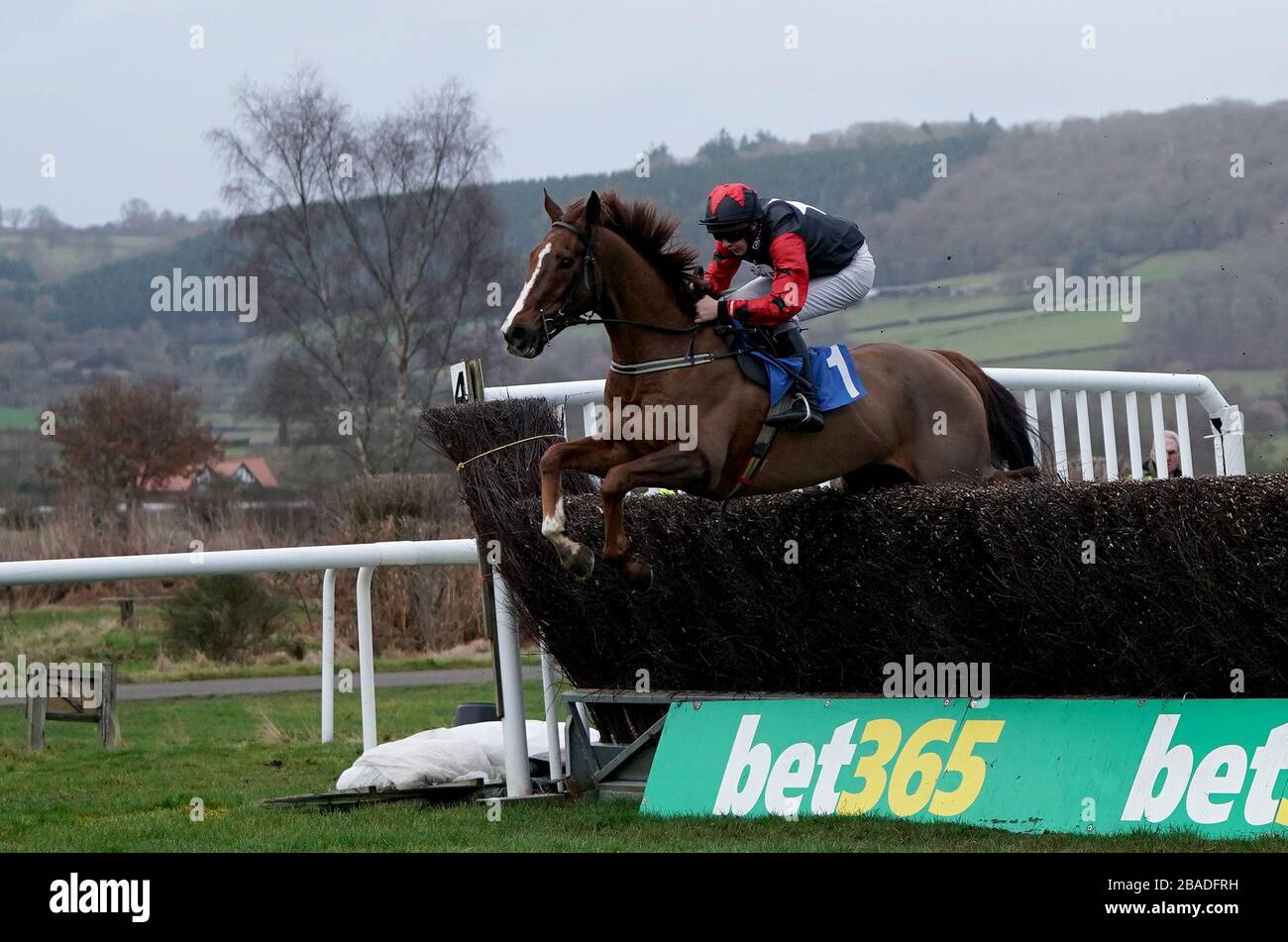 Rennsieger Callum McKinnes, der Fort Gabriel reitet, löscht den letzten Zaun während des Luke Watson Memorial Racing Excellence Handicap Chase "Hands and Heels" auf der Ludlow Racecourse Stockfoto
