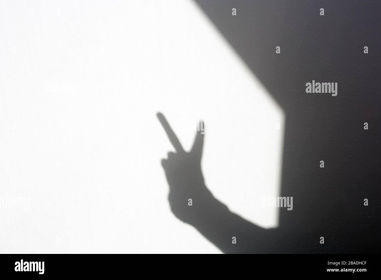 Silhouette Schattenhand mit einem Friedenszeichen an der weißen Wand, isoliert zu Hause Stockfoto