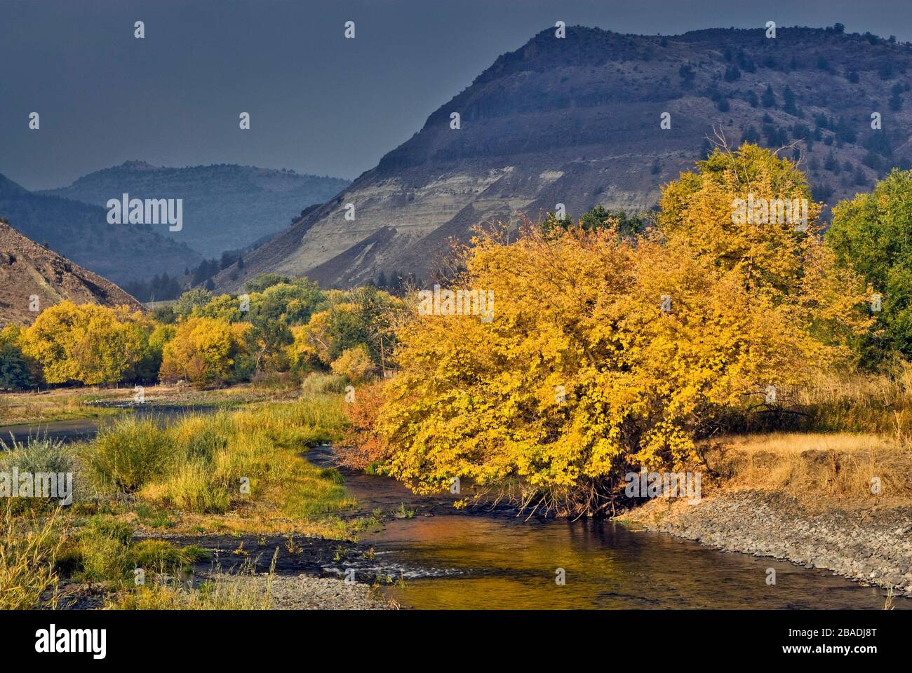 Regenwelle am China hat Peak, John Day River Valley, Blick im Herbst von der Zeitreise Scenic Byway, in der Nähe von Kimberly, Oregon, USA Stockfoto