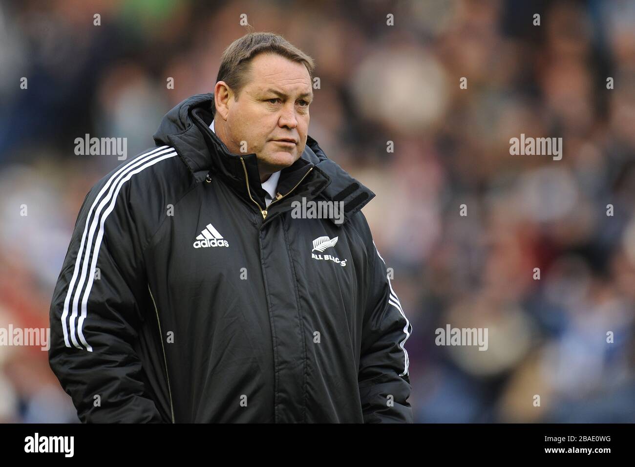 Steve Hansen, neuseeländischer Cheftrainer Stockfoto