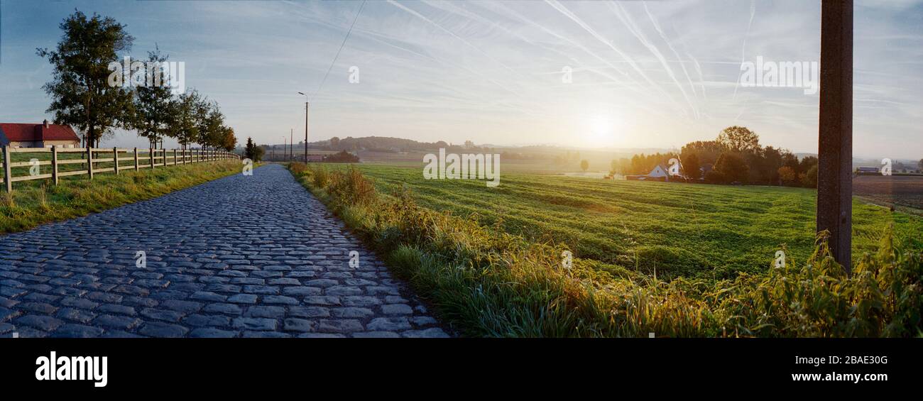 Pflastersteine Straße in warmer goldener herbstlicher Sonneneinstrahlung mit einem Rasenfeld auf der rechten Seite und einigen Bäumen Stockfoto