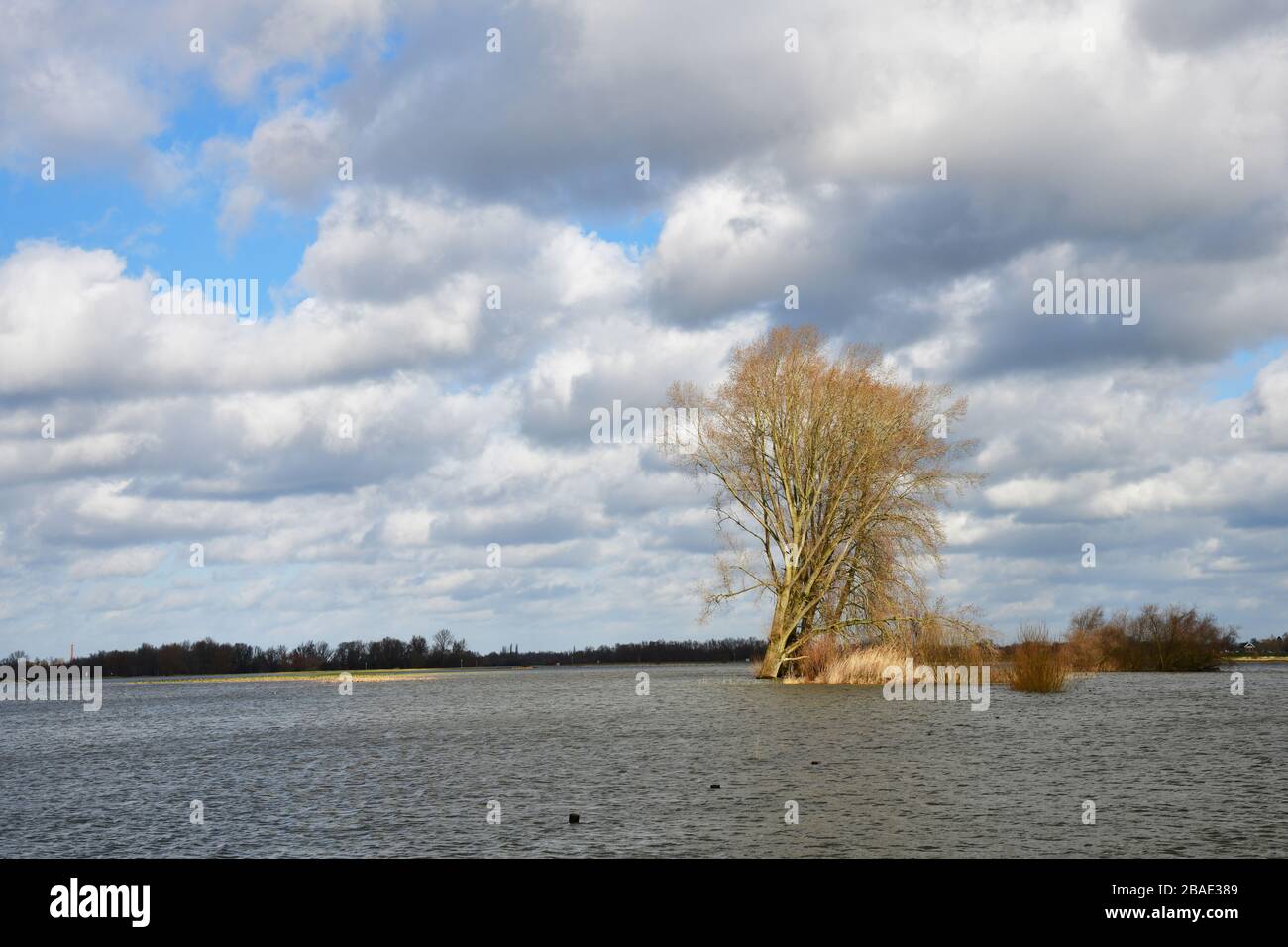 Breiter Blick auf die überfluteten Flusswaschgebiete des Flusses IJssel in den Niederlanden mit dramatisch bewölktem Himmel; Bäume, die aus dem Wasser herausragen Stockfoto