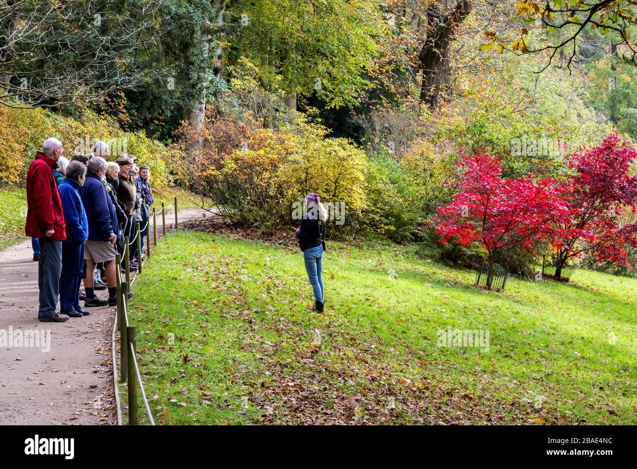 Besucher, die eine Führung genießen und über die brillanten Herbstfarben sprechen, die den See in Stourhead Gardens, Wiltshire, England, Großbritannien umgeben Stockfoto