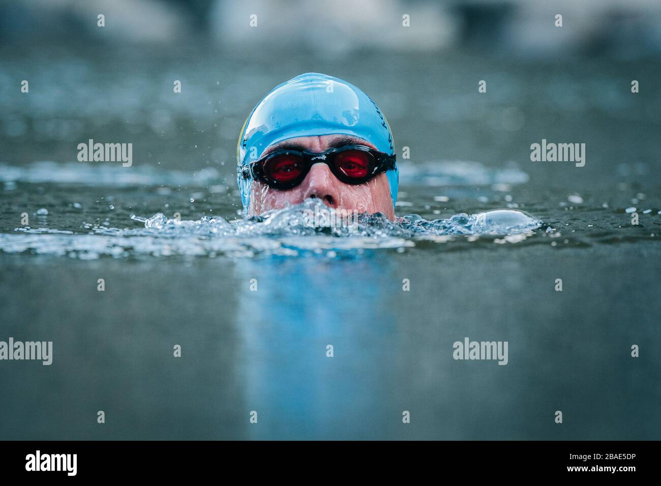 Wilder Außenschwimmer in einer Lochan Uaine, Aviemore, Schottland Stockfoto