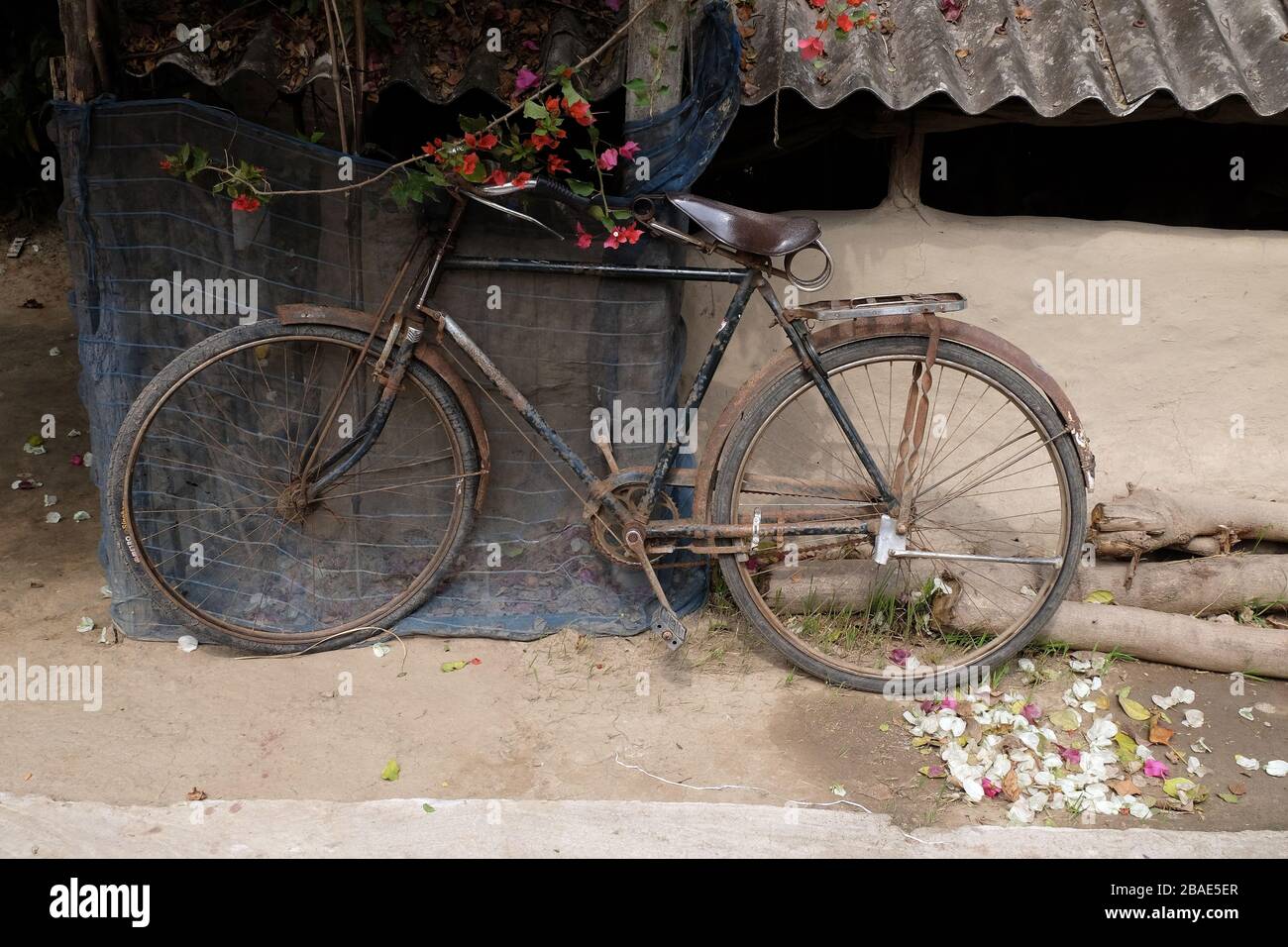 Fahrrad an die Wand gelehnt in Kumrokhali, Westbengalen, Indien Stockfoto