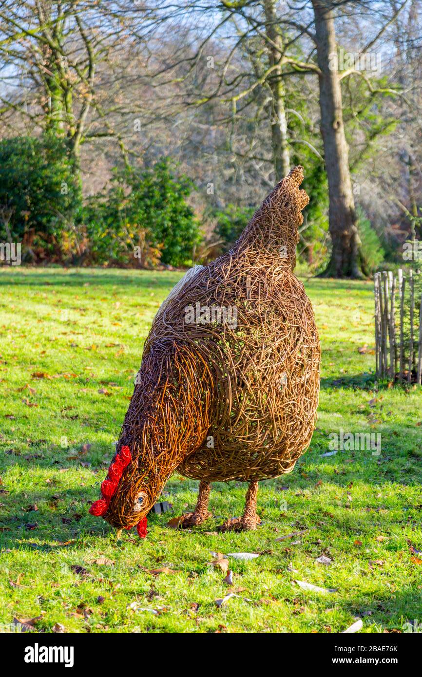 Eine Winterweidenskulptur einer französischen Henne auf dem Gelände des Stourhead House als Teil ihrer Weihnachtsattraktionen, Wiltshire, England, Großbritannien Stockfoto