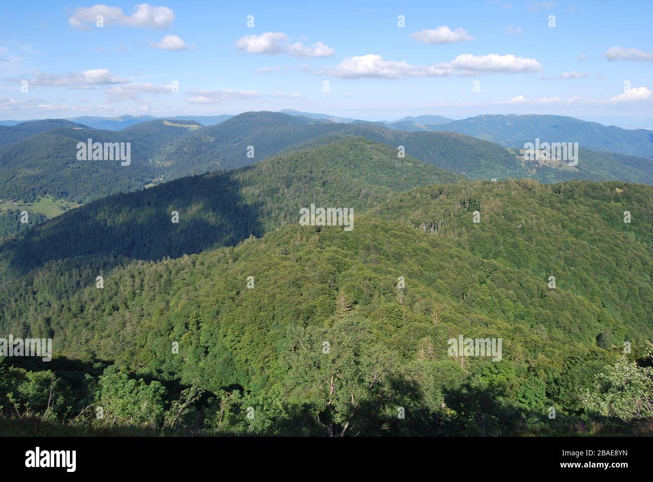 Blick auf die Landschaft vom Ballon d'Alsace, Grand Balloon, einem Gipfel in den Vogesen, Oberrhein in Frankreich Stockfoto