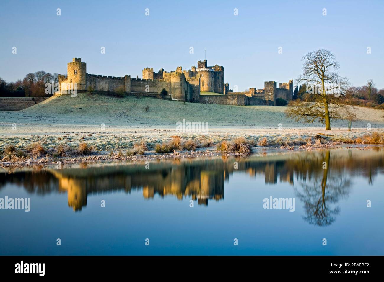 Alnwick Castle und der Fluss Aln, Northumberland, England Stockfoto