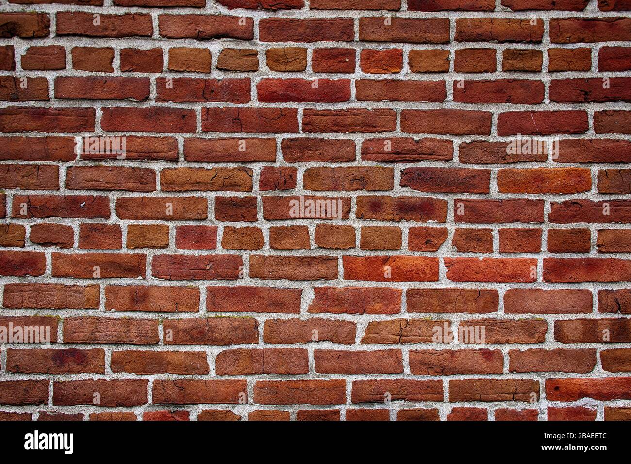 Old Red Brick Wall Mit Weißem Grout Stockfoto