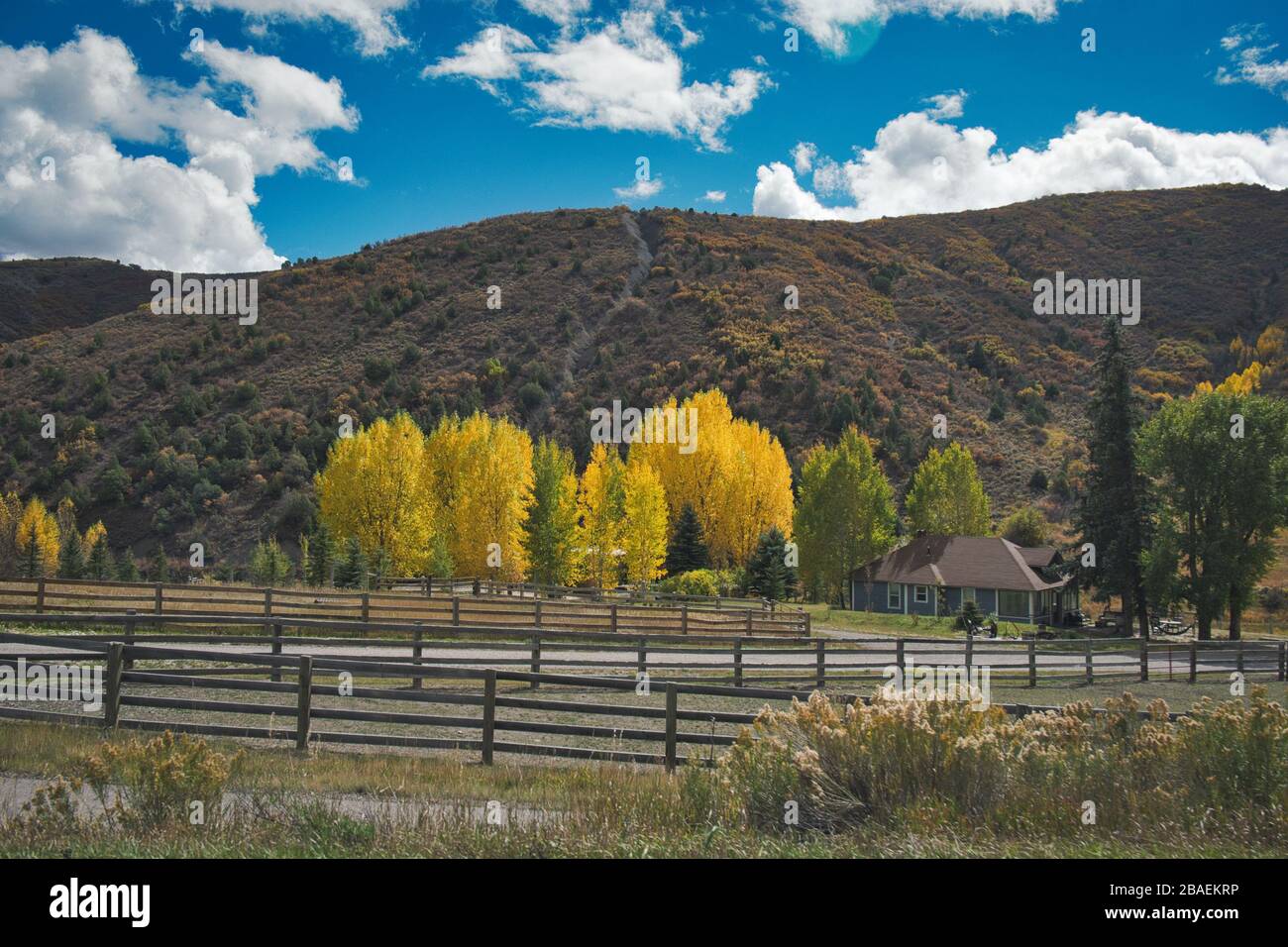 Foto der Landschaft von colorado in der Herbstsaison Stockfoto