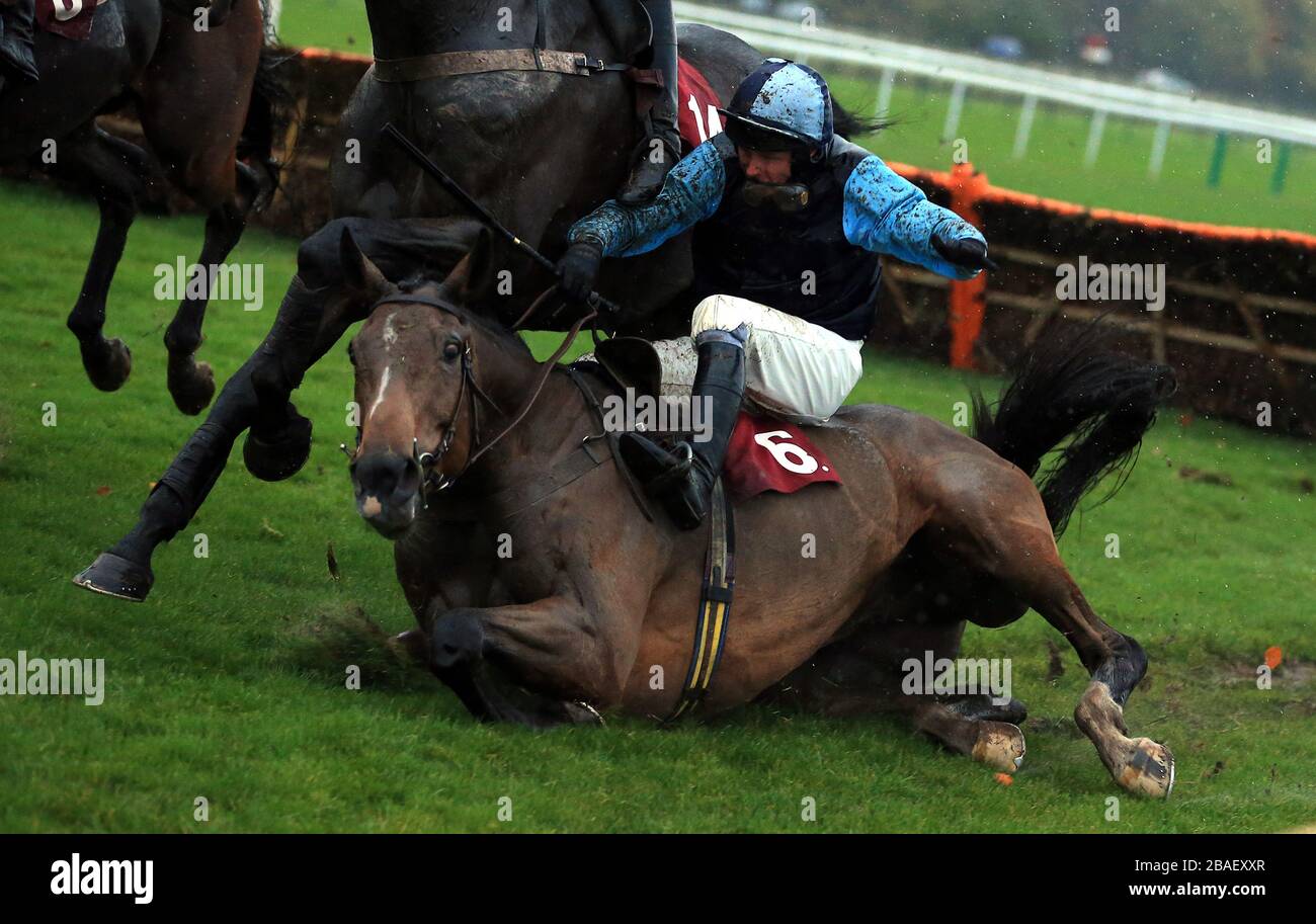 Gran Torino, der von Paul Moloney geritten wird, fällt am letzten Zaun im Haydock Park Rio Carnival Christmas Parties Handicap Hürdenlauf Stockfoto