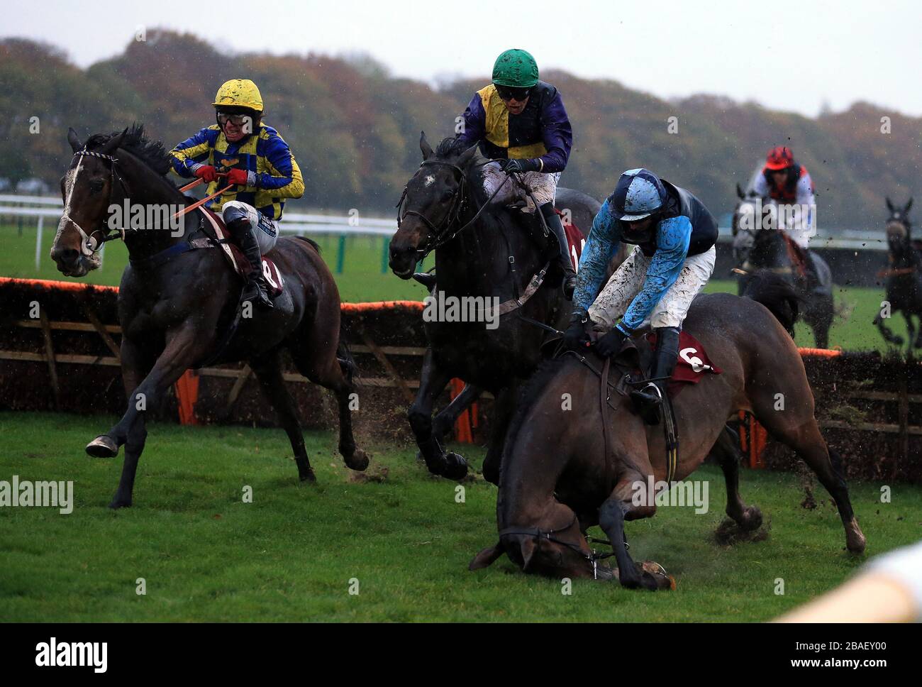 Gran Torino, der von Paul Moloney geritten wird, fällt am letzten Zaun im Haydock Park Rio Carnival Christmas Parties Handicap Hürdenlauf Stockfoto