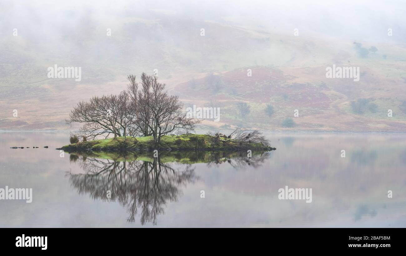 Insel auf Crummock-Wasser in Nebel mit Reflexionen Stockfoto