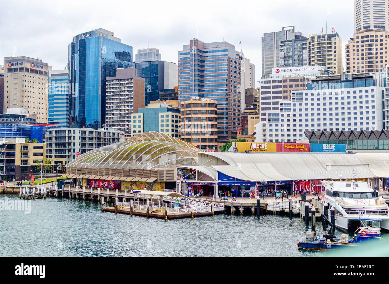 Panorama des Darling Harbour in Sydney, Foto von der Pyrmont Bridge Stockfoto