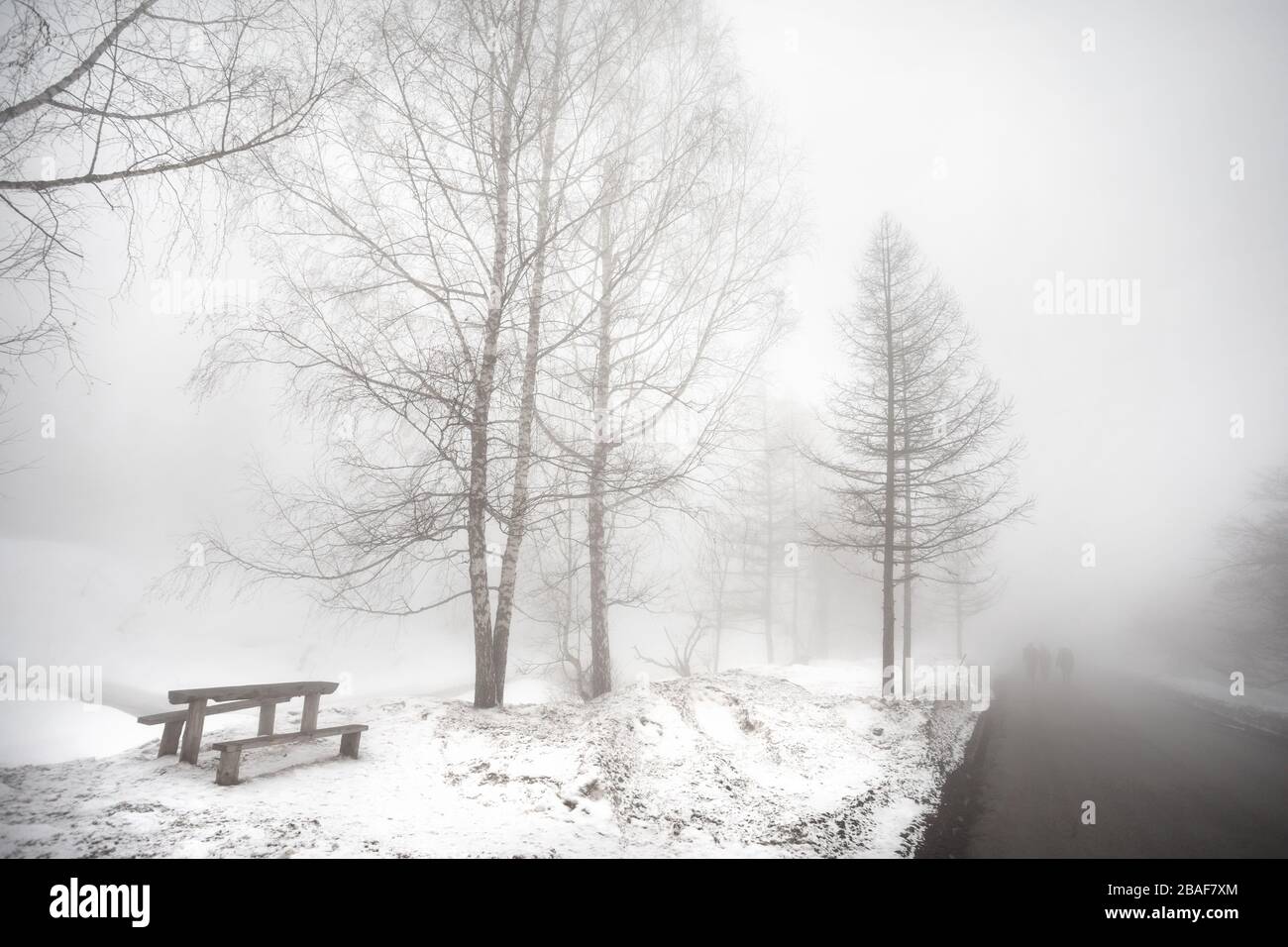 Die Menschen Silhouette auf der Straße im gruseligen nebligen Winterwald Stockfoto
