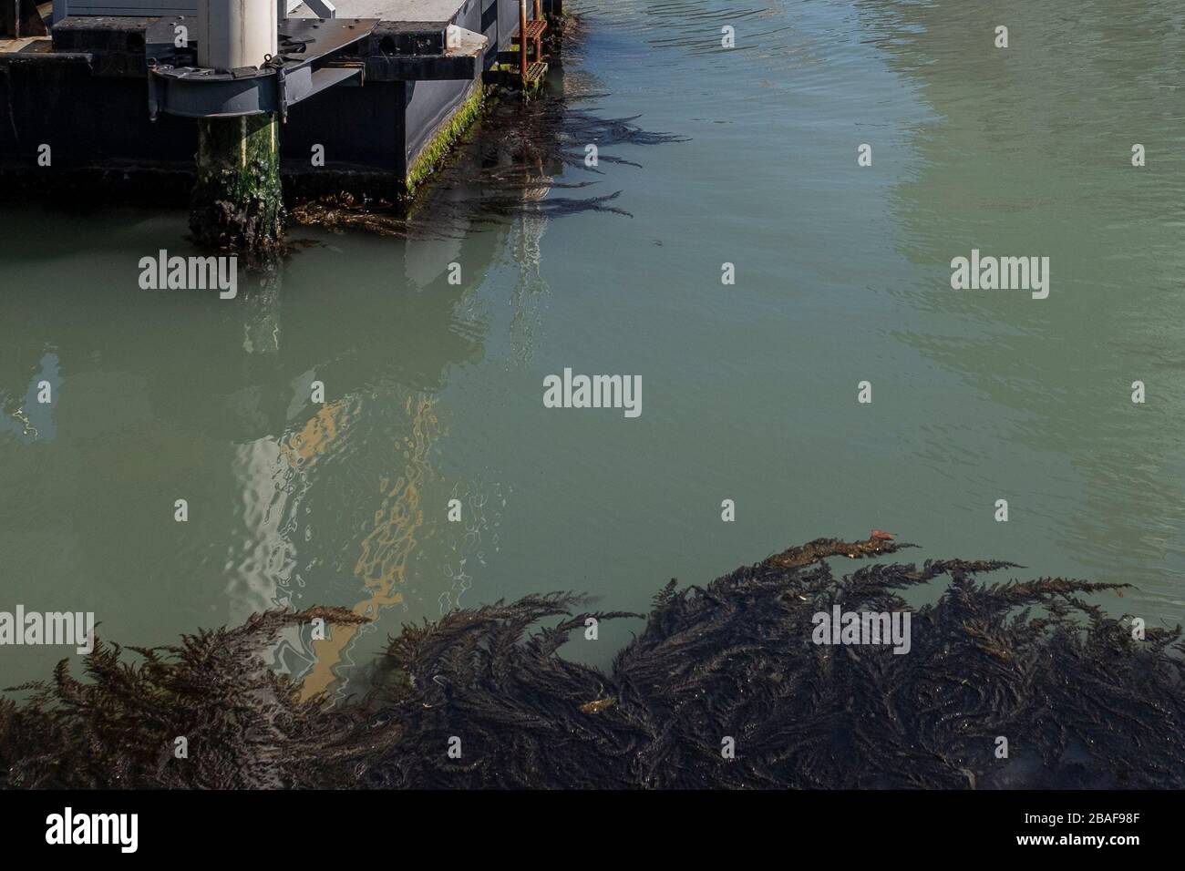 VENEDIG, ITALIEN - 23. MÄRZ: Ansichten von Venedig ohne Menschen während des Corona-Virus Stockfoto