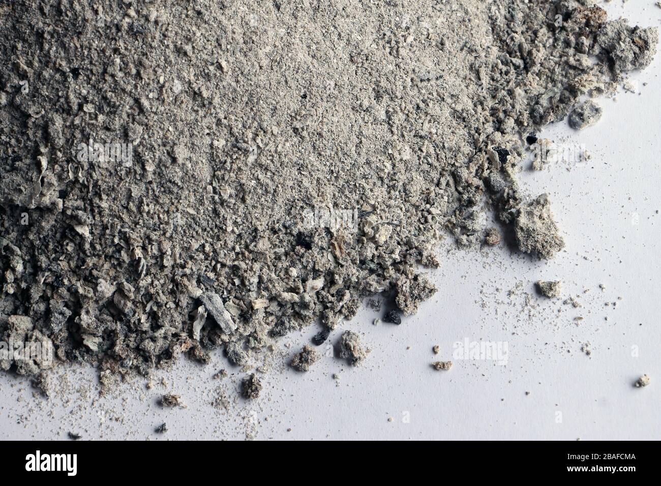 Graue Asche auf weißem Hintergrund Stockfoto