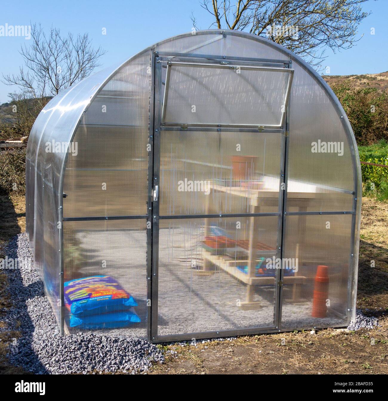 Gewächshaus aus Polycarbonat in einem heimischen Garten Stockfoto