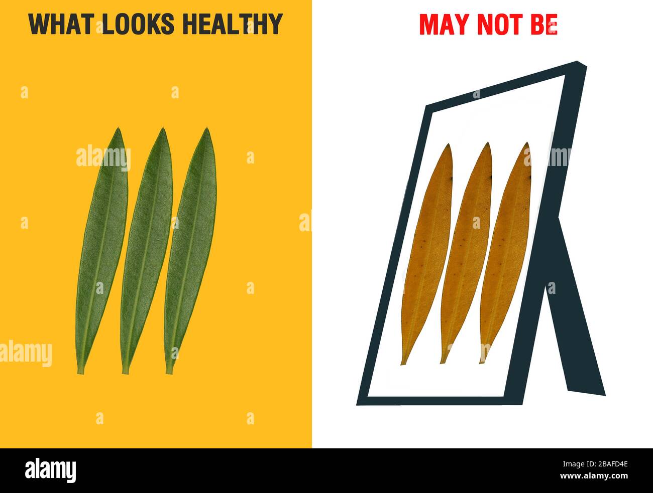 Soziale Distanzierung kreative Idee, Botschaft oder Beispiel für Corona-Virus oder covid 19 Prävention oder Vorsorge Stockfoto