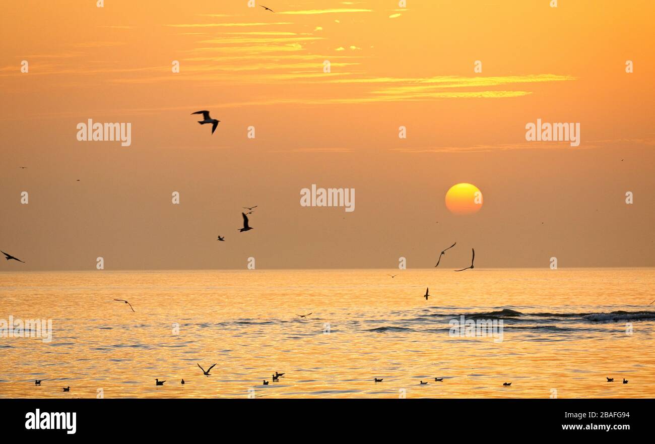 Sonnenuntergang über dem Meer in Tanji, Gambia. Stockfoto