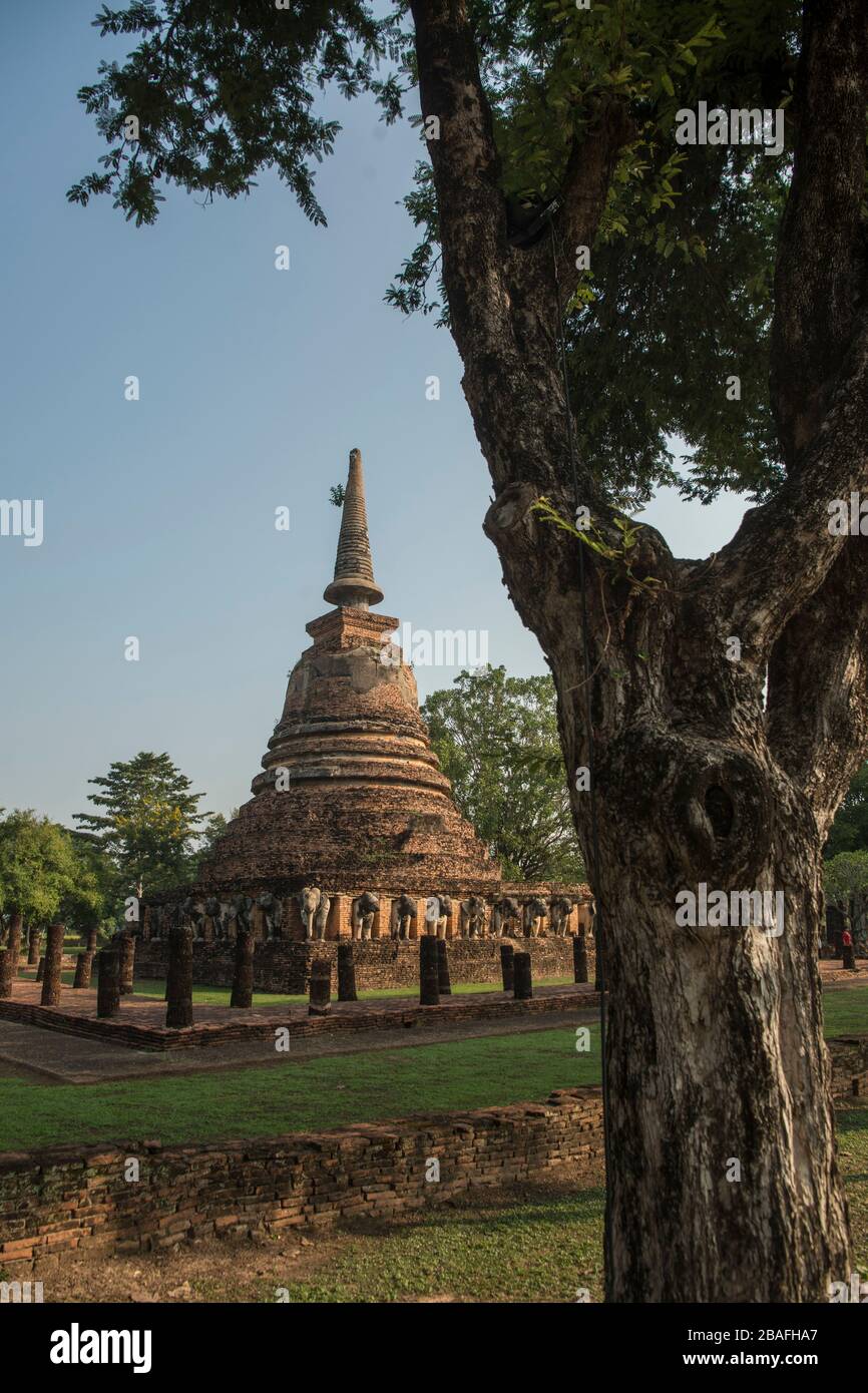 Der Wat Chang Lom Tempel im historischen Park in Sukhothai in der Provinz Sukhothai in Thailand. Thailand, Sukhothai, November 2019 Stockfoto