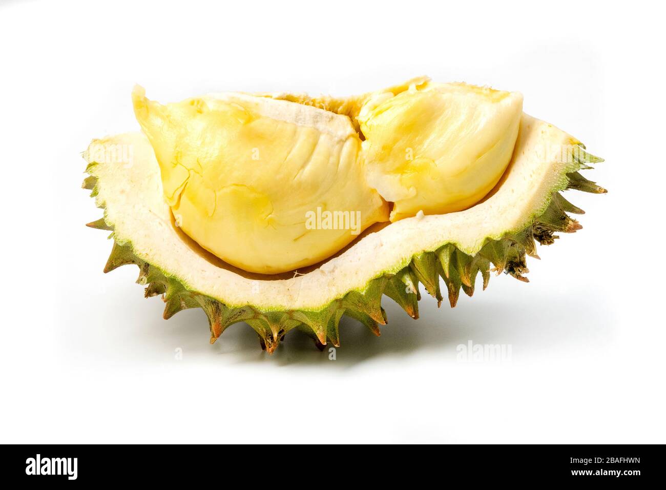 Scheibe Durian (Durio zibethinus) auf weißem Grund Stockfoto