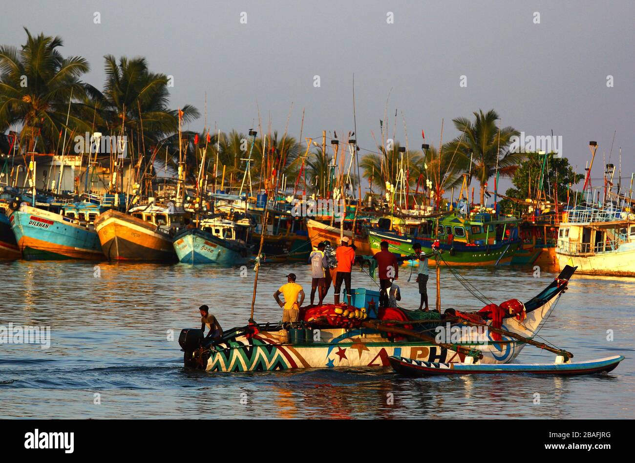 Walbeobachtungsfahrt in Sri Lanka Stockfoto